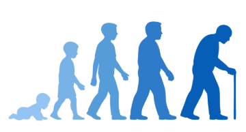 human development