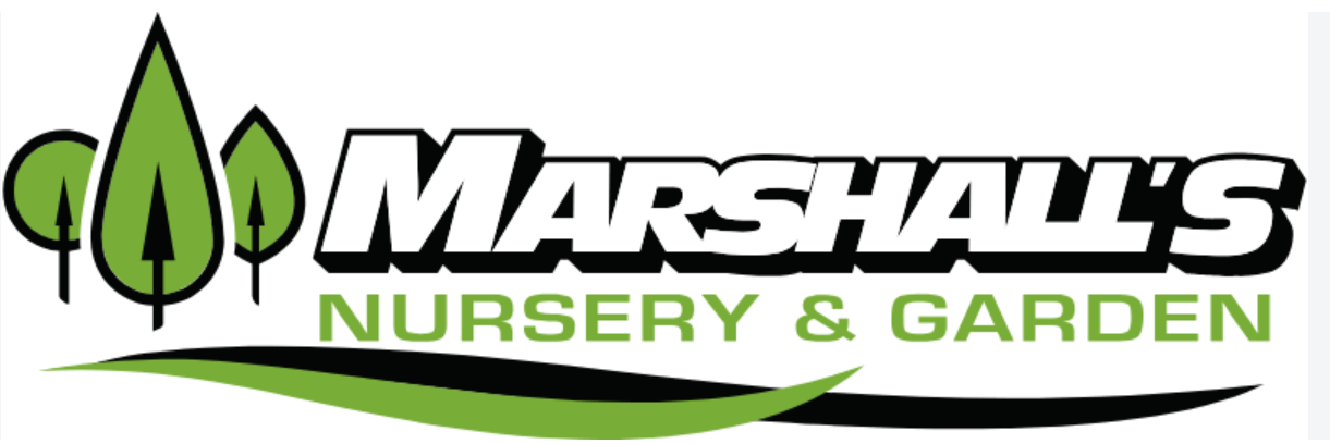 Marshall's logo