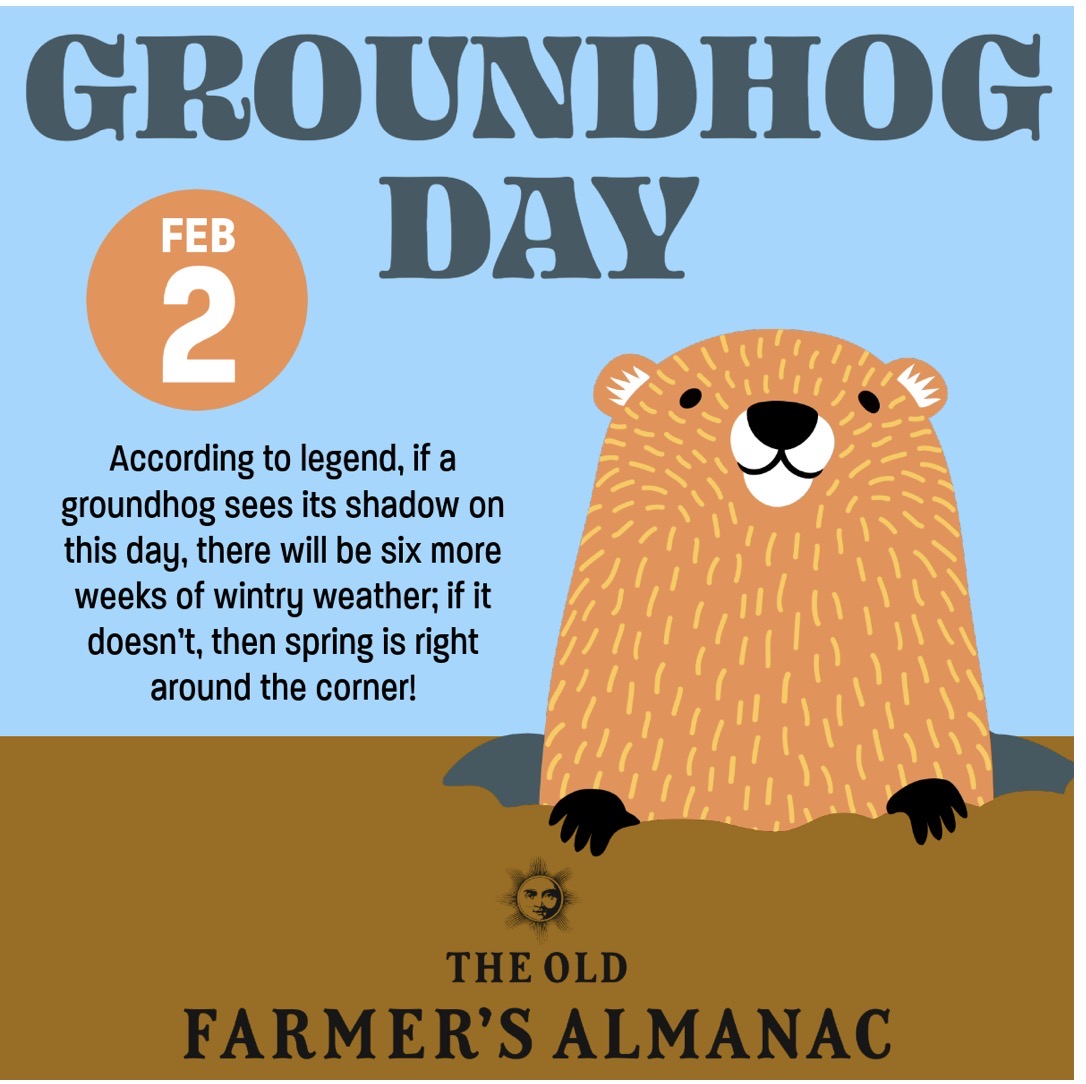 Ground hog day
